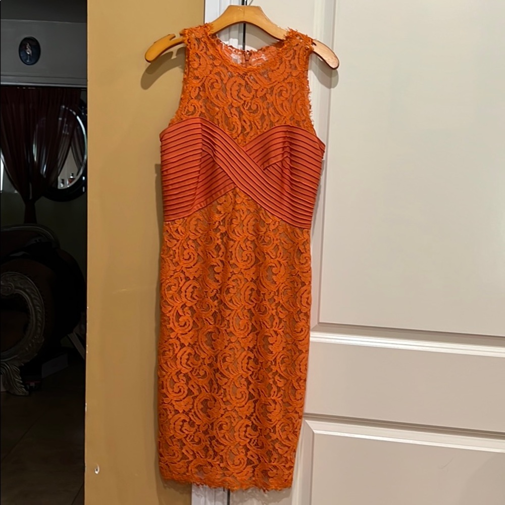 Tadashi Shoji gorgeous lace dress, new condition